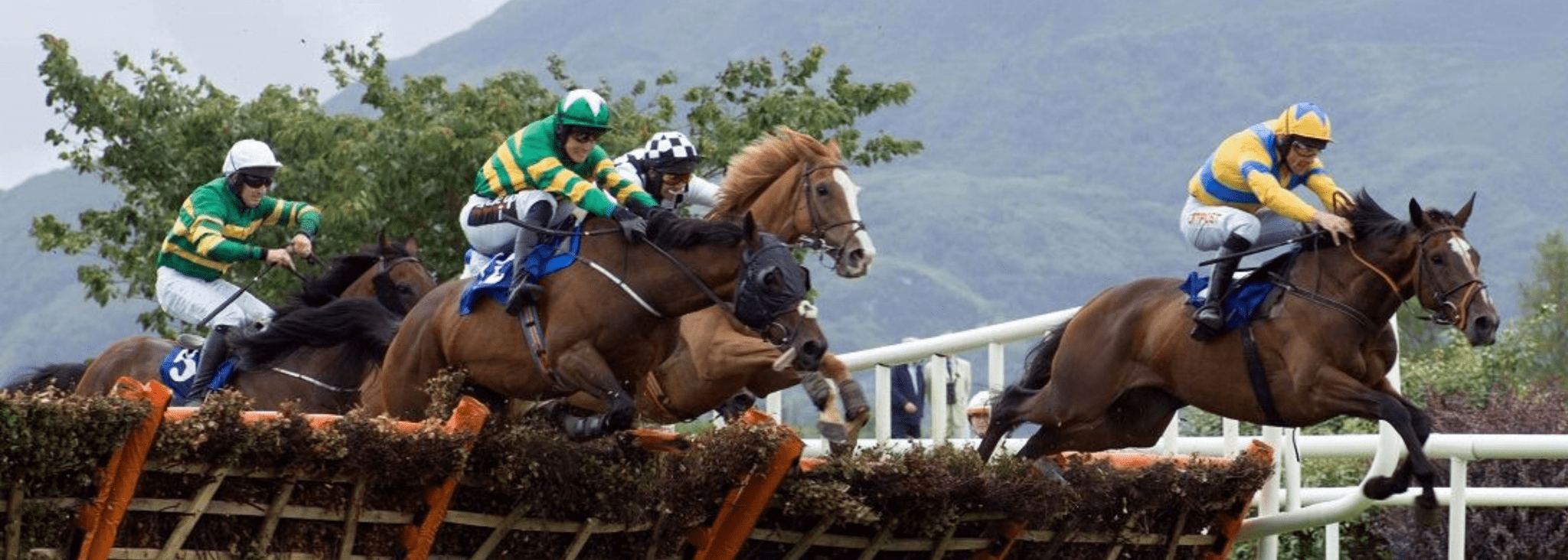 Killarney Races