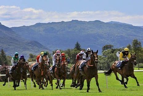 Killarney Races 2024: A Spectacular Event in the Heart of Kerry