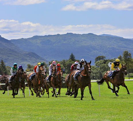 Killarney Races 2024: A Spectacular Event in the Heart of Kerry